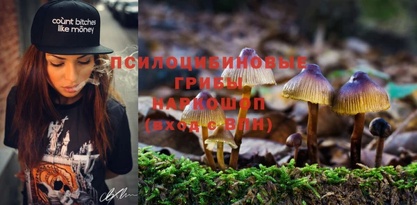 кристаллы Алзамай