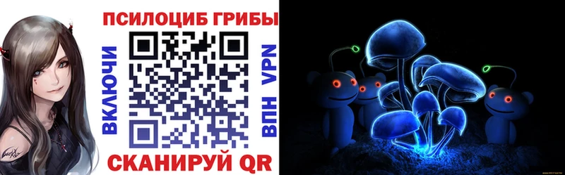 Псилоцибиновые грибы мицелий мориарти клад Егорьевск магазин наркотиков
